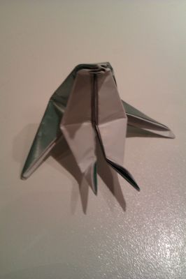 IMAG0215.jpg
