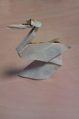 pelican_Jozsef_Zsebe_2012-12-13_28229.jpg