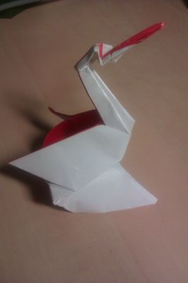 pelican_Jozsef_Zsebe_2012-12-14_28129.jpg