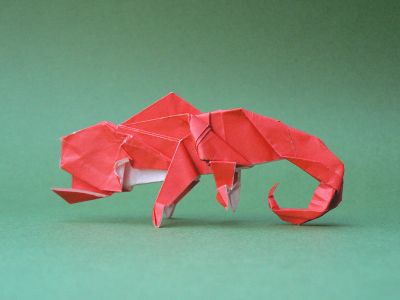 caméléon de Paulius Mielinis 02
