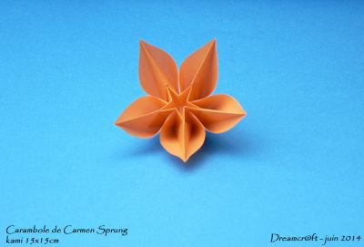 Carambole de Carmen Sprung
