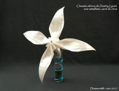 Clematis Sibirica de Dzmitry Lysiuk

