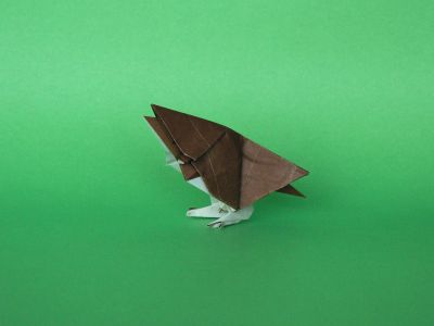 Moineau de Daniel Sancho 01
En kami 15x15cm. Modèle petit, mignon et avec changement de couleur :)
Mots-clés: gorrion moineau daniel sancho
