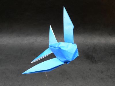 hirondelle de sebl 02
Mots-clés: hirondelle swallow golondrina sebl sebastien limet