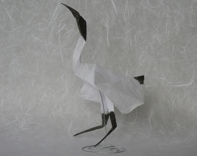 Ibis blanc de Gabriel Willow
J'avance dans les challenges de pliage du forum (il était temps), avec l'ibis blanc de Gabriel Willow. Le modèle est très simple à réaliser, mais le résultat me laissait un peu sur ma faim, alors j'ai bidouillé, comme d'hab'. J'ai teinté le papier de soie simple à l'encre de Chine et bien remodelé tête et ailes. Je vais sans doute lui créer un alter ego et représenter une parade. A suivre...
Mots-clés: white ibis gabriel willow