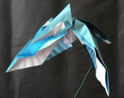 Martin pêcheur
le martin pêcheur de Roman Diaz, plié en papier cadeau, carré de 20x20cm, comme recommandé. 
Mots-clés: martin pêcheur kingfisher martin pescador oiseau bird