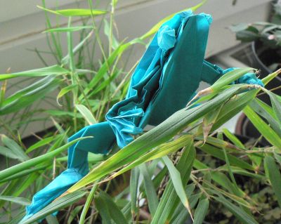 grenouille arboricole dans son milieu
Juste pour avoir les yeux. En papier de soie, j'ai bien rigolé pour les faire tenir.
Mots-clés: grenouille arboricole tree frog robert lang