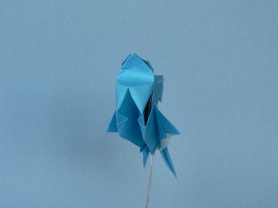 "Poisson" de Kunihiko Kasahara 02
Mots-clés: poisson Kunihiko Kasahara