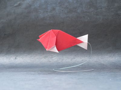 Poisson de Marc Vigo
Mots-clés: poisson fish pez Marc Vigo