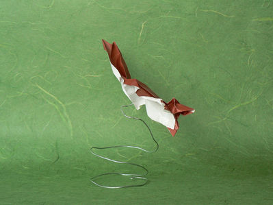 Polatouche 1
Test pour un polatouche ou écureuil volant, dans lequel j'introduis du box-pleating. Après une brève séquence de plis, on en arrive vite au modelage. Le petit plus, c'est de ne pas découper le rectangle de papier de départ aux ciseaux, mais de le déchirer soigneusement afin d'avoir le petit effet de fourrure des pans de peau du ventre. Je ne suis pas tout à fait contente de l'aspect de la queue, ça changera. La tête est très inspirée de celle de l'écureuil de Tetsuya Gotani. (Penser à ajouter une truffe)
Mots-clés: polatouche écureuil volant