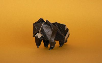 Raccoon de John Montroll 02
Mots-clés: raccoon raton laveur john montroll