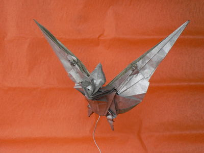 Redpath pteranodon de Robert Lang 2
Mots-clés: redpath pteranodon robert lang