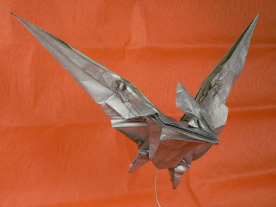 Redpath pteranodon de Robert Lang 3
Mots-clés: redpath pteranodon robert lang