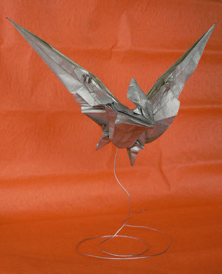 Redpath pteranodon de Robert Lang 4
Mots-clés: redpath pteranodon robert lang