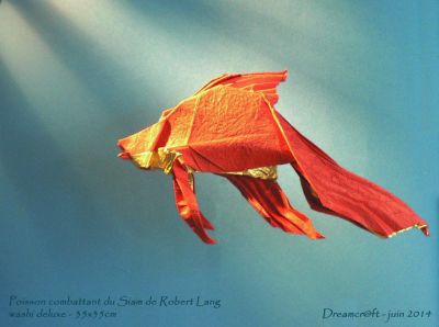 Poisson combattant du Siam de Robert Lang 01
