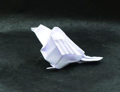 Sparrow d'Alfredo Giunta
