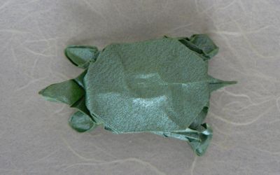 Tortue de Robert Lang 02
Mots-clés: Tortue turtle Robert Lang