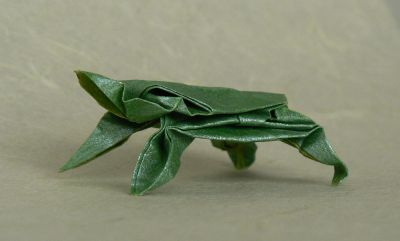 Tortue de Robert Lang 03
Mots-clés: Tortue turtle Robert Lang
