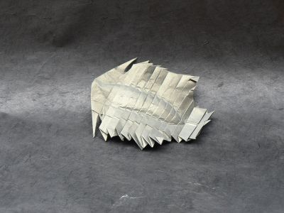 Trilobite de S. Elmer Lopez Ontiveros
J'ai juste modifié le modèle de manière à doubler le nombre de pattes.
