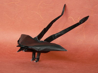 Tyran des savanes de James Lucas 1
Une découverte, le tyran des savanes ou forked-tailed flycatcher de James Lucas. Le diagramme est en vente sur le site d'Origami USA et il vaut les deux euros. Le modèle gagne à être connu car il ouvre des portes pour le pliage d'un certain nombre d'oiseaux exotiques. Il y a intérêt à utiliser du papier de soie, du washi ou du papier sandwich, pour modeler à l'aise et jouer sur les couleurs. Même avec mon kami 35x35 cm, j'ai eu du mal à ne pas déchirer les plumes caudales, multicouches.
Mots-clés: Tyran des savanes forked-tailed flycatcher James Lucas