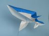 Baleine_a_bosse_03.JPG