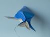 Baleine_a_bosse_07.JPG