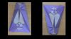 Chauve-souris_2D.jpg