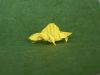 Nom du fichier=Dimetrodon_de_Fernando_Gilgado_Gomez_03.JPG
Taille du fichier=315Ko
Dimensions : 2048x1536
Ajouté le : 14 Mars 2013 Dimetrodon_de_Fernando_Gilgado_Gomez_03.JPG
