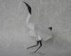 Nom du fichier=Iris_blanc_de_Gabriel_Willow_09.JPG
Taille du fichier=383Ko
Dimensions : 2048x1619
Ajouté le : 14 Mars 2013 Iris_blanc_de_Gabriel_Willow_09.JPG
