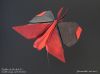 Nom du fichier=Papillon_de_Do_Anh_Tu_02.JPG
Taille du fichier=295Ko
Dimensions : 1564x1168
Ajouté le : 05 Décembre 2017 Papillon_de_Do_Anh_Tu_02.JPG