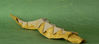 Nom du fichier=Python__arboricole_de_Andrew_Hudson_05.JPG
Taille du fichier=313Ko
Dimensions : 2044x904
Ajouté le : 25 Avril 2013 Python__arboricole_de_Andrew_Hudson_05.JPG