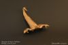 Nom du fichier=Scorpion_de_Ynon_Toledano_01.JPG
Taille du fichier=259Ko
Dimensions : 2048x1367
Ajouté le : 05 Décembre 2017 Scorpion_de_Ynon_Toledano_01.JPG