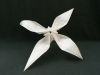 Nom du fichier=Task_1_Clematis_sibirica_de_Dzmitry_Lysiuk_02.JPG
Taille du fichier=309Ko
Dimensions : 1280x960
Ajouté le : 08 Novembre 2017 Task_1_Clematis_sibirica_de_Dzmitry_Lysiuk_02.JPG