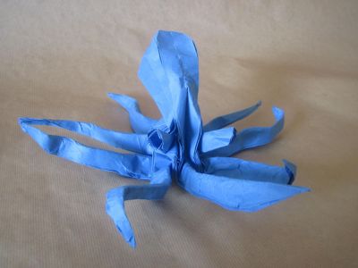Pieuvre d'Argil
Kraft bleu 70 m environ 
