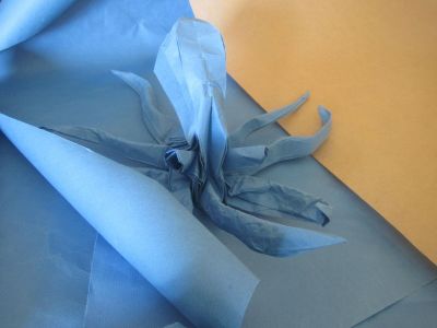 Pieuvre d'Argil
Kraft bleu 70 m environ 
