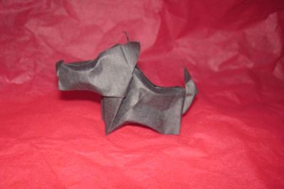 Scottie-Javier Caboblanco
Papier kraft

