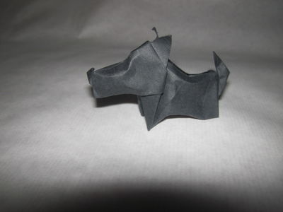 Scottie-Javier Caboblanco
Papier kraft
