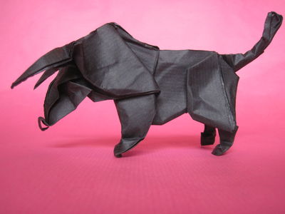 Taureau de Weber
