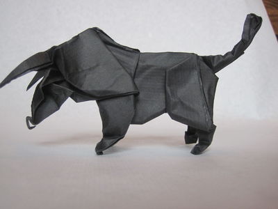 Taureau de Weber
