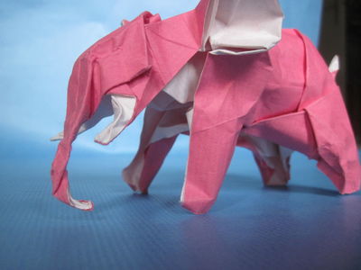 Nguyen Hung Cuong - Elephant
