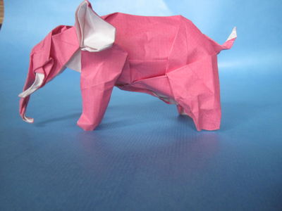 Nguyen Hung Cuong - Elephant
