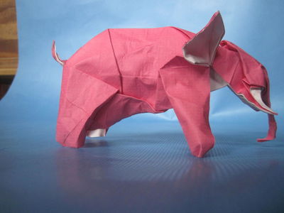 Nguyen Hung Cuong - Elephant
