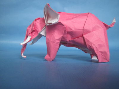 Nguyen Hung Cuong - Elephant
