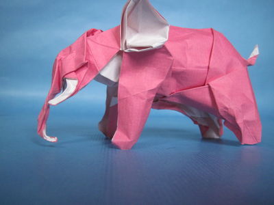 Nguyen Hung Cuong - Elephant
