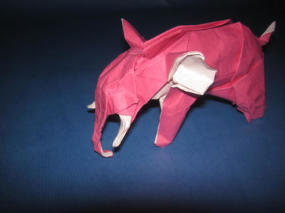 Nguyen Hung Cuong - Elephant
