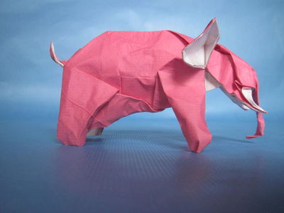 Nguyen Hung Cuong - Elephant
