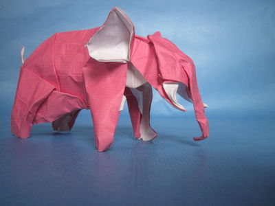 Nguyen Hung Cuong - Elephant
