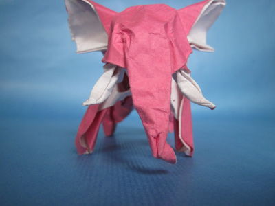 Nguyen Hung Cuong - Elephant
