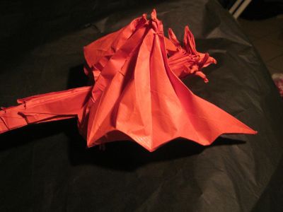 IMG_4717.JPG