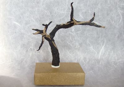 Arbre II (Cu Kim Ngoc) 4
Papier kraft Alios + papier de soie 45x45 cm
